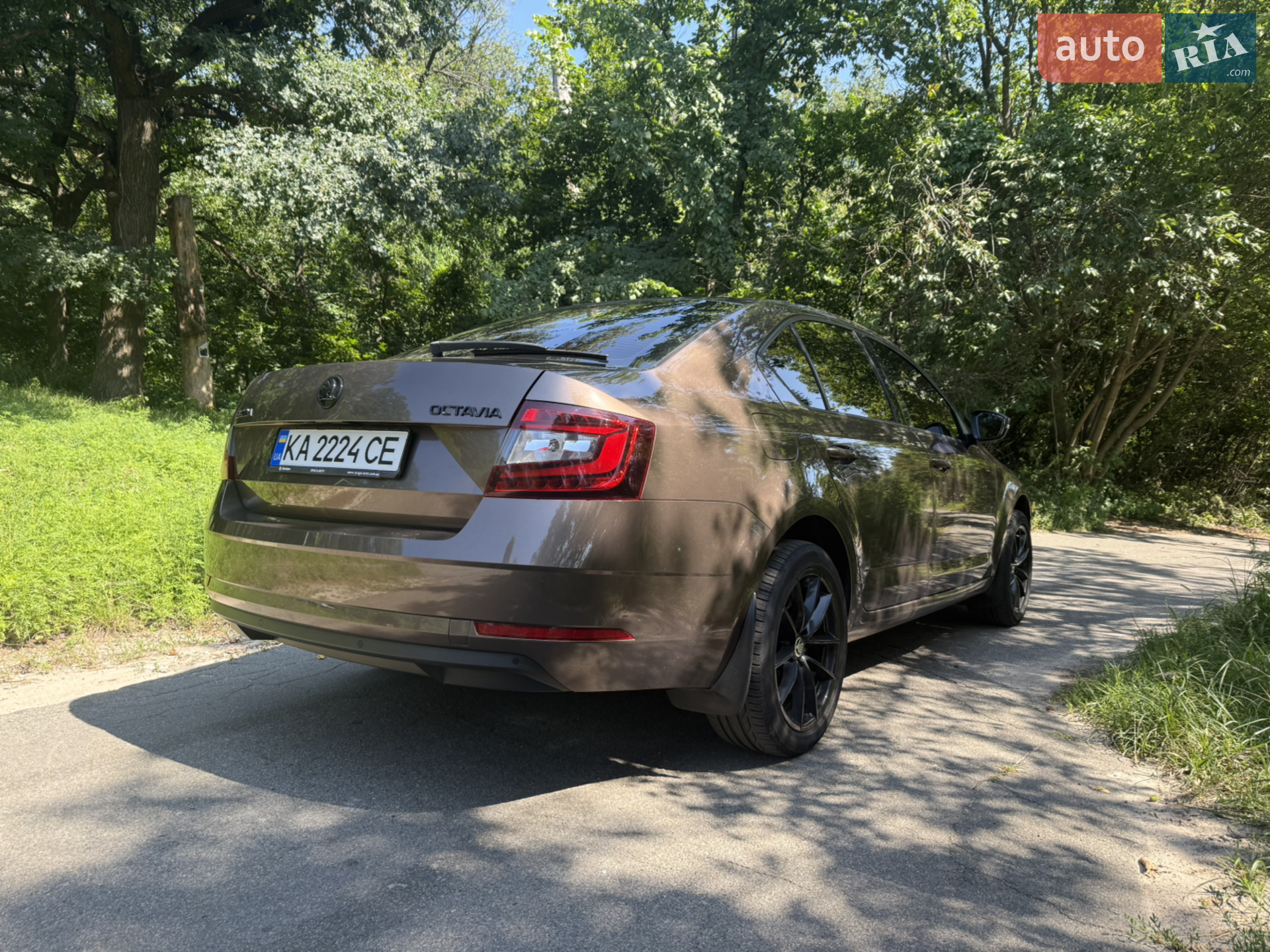 2018 Skoda Octavia - мініатюра 7