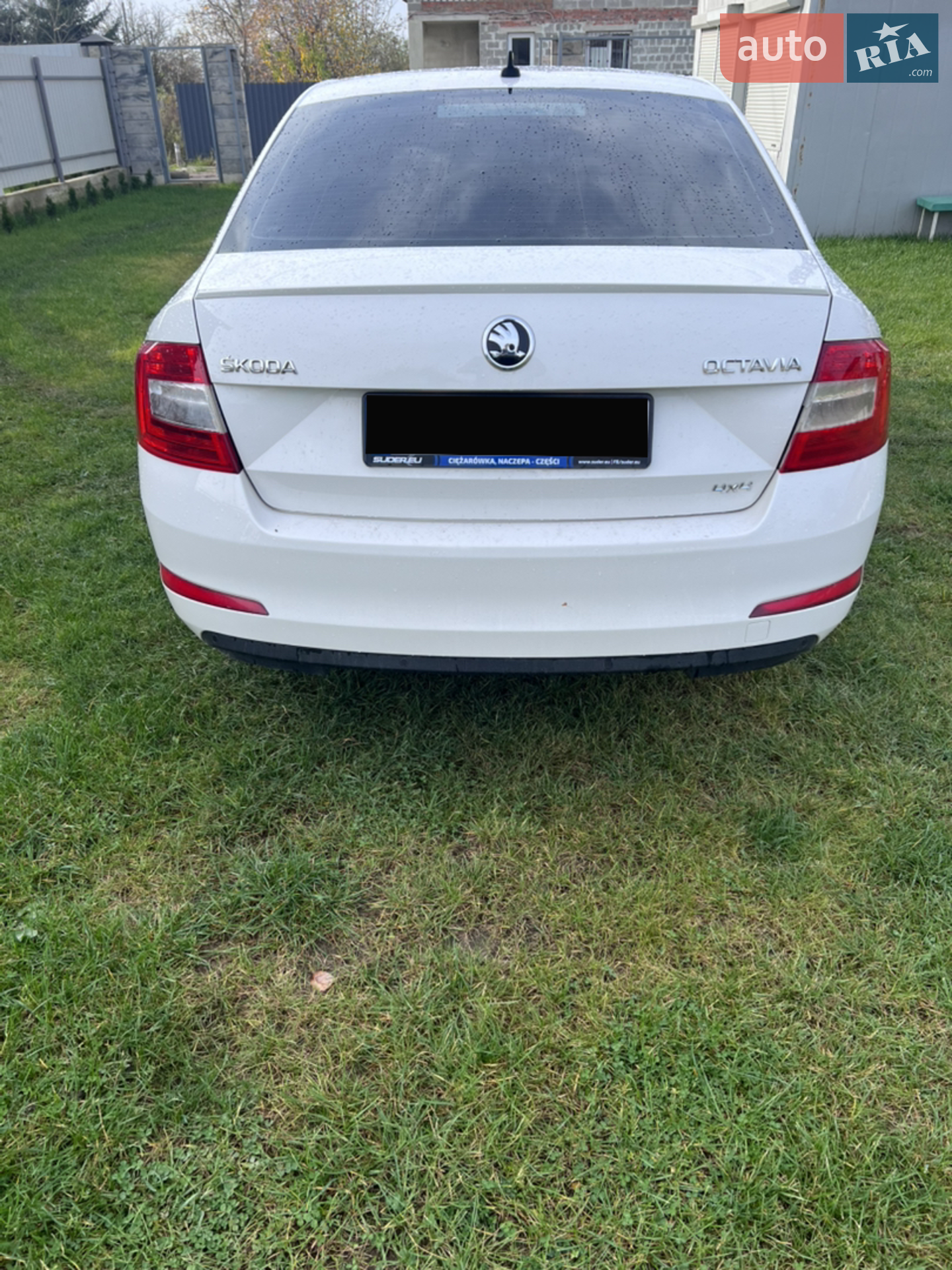 2016 Skoda Octavia - мініатюра 7
