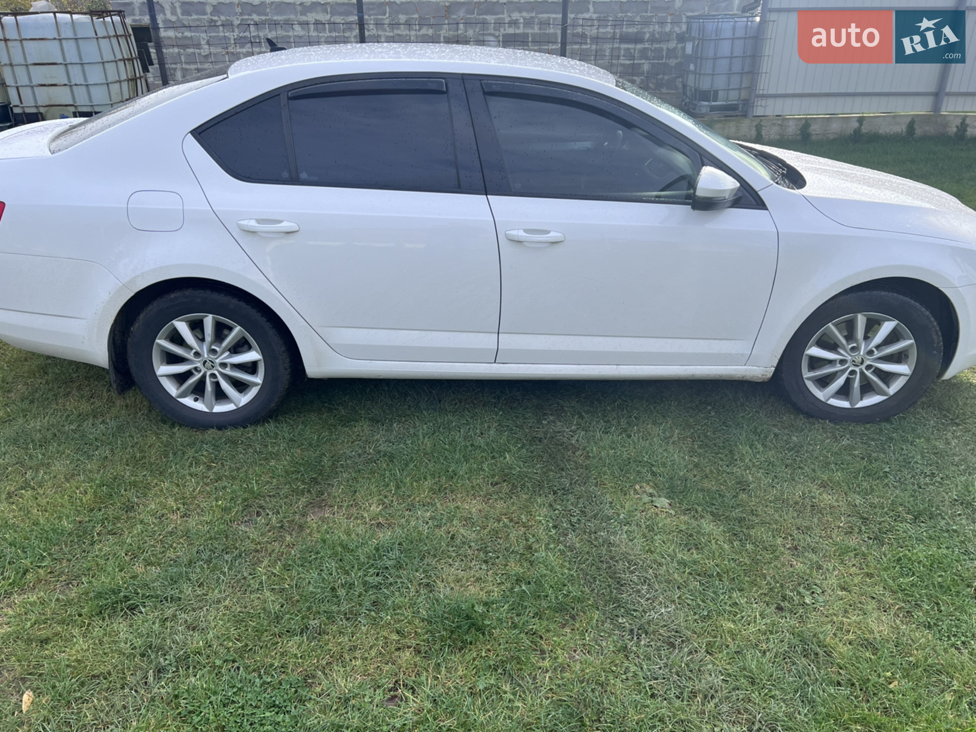 2016 Skoda Octavia - мініатюра 6