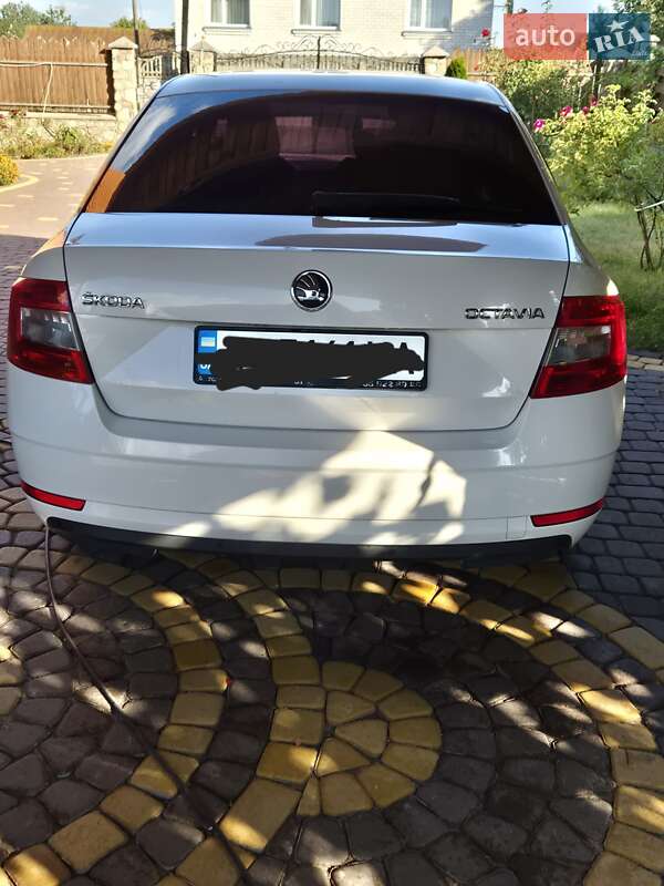 Ліфтбек Skoda Octavia 2017 в Луцьку фото 23 Ліфтбек Skoda Octavia 2017 в Луцьку