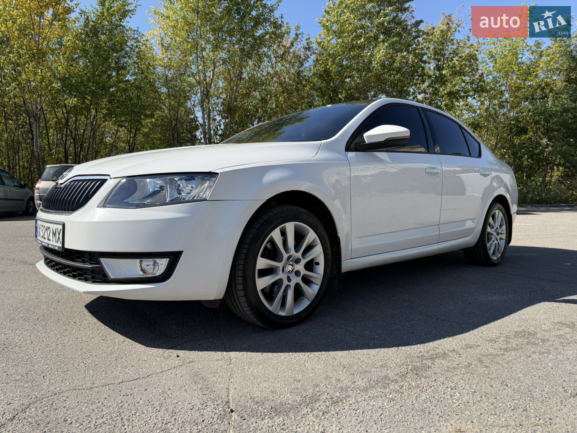 2013 Skoda Octavia - мініатюра 7