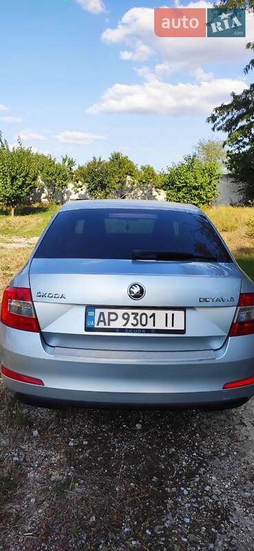 Лифтбек Skoda Octavia 2015 в Запорожье фото 9 Лифтбек Skoda Octavia 2015 в Запорожье