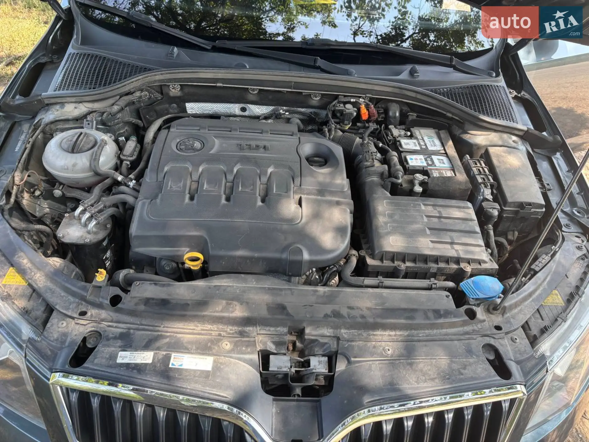 2014 Skoda Octavia - фото 1