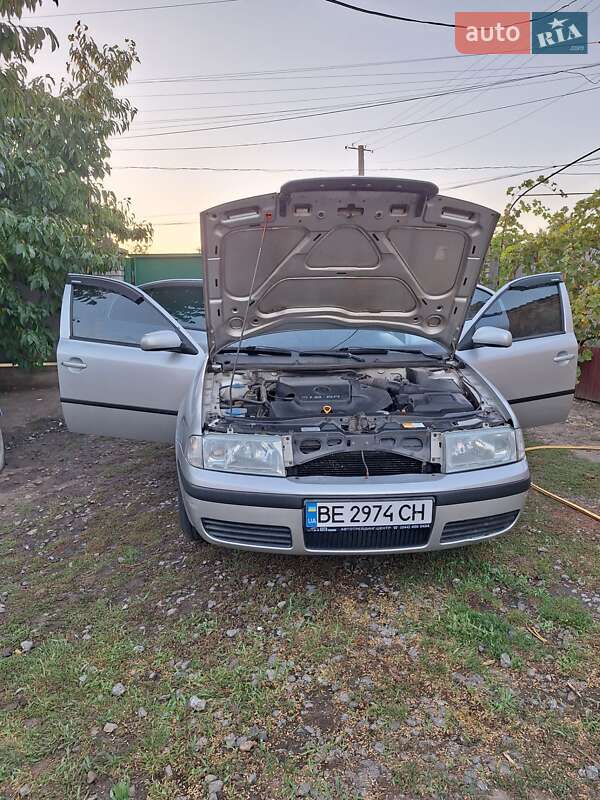 Лифтбек Skoda Octavia 2006 в Кривом Озере