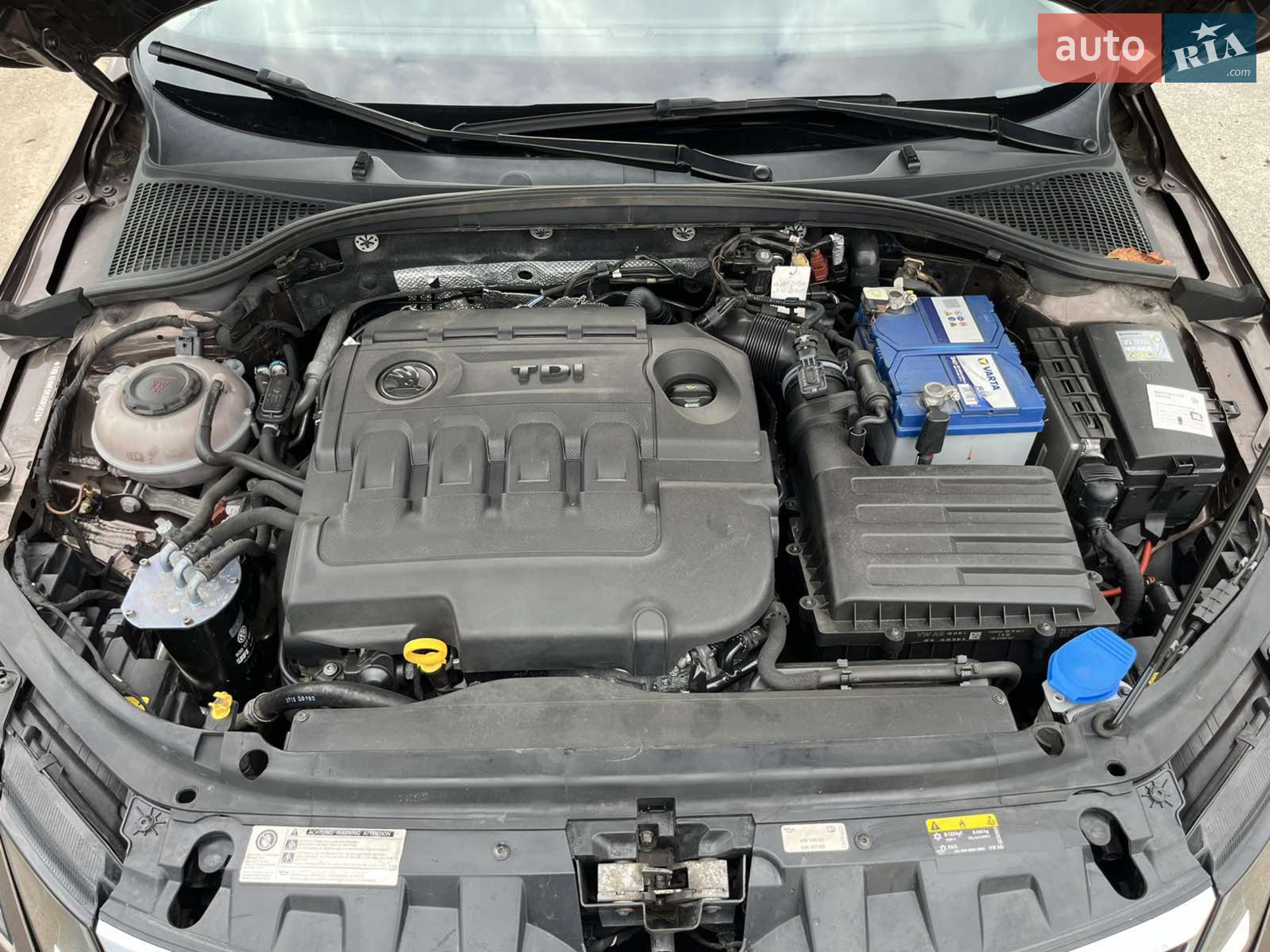 2018 Skoda Octavia - мініатюра 16
