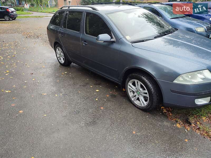 Универсал Skoda Octavia 2006 в Звягеле