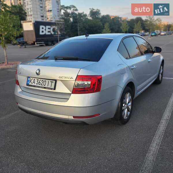 Ліфтбек Skoda Octavia 2019 в Києві фото 16 Ліфтбек Skoda Octavia 2019 в Києві