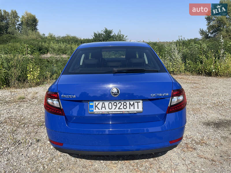 Ліфтбек Skoda Octavia 2019 в Дніпрі фото 14 Ліфтбек Skoda Octavia 2019 в Дніпрі