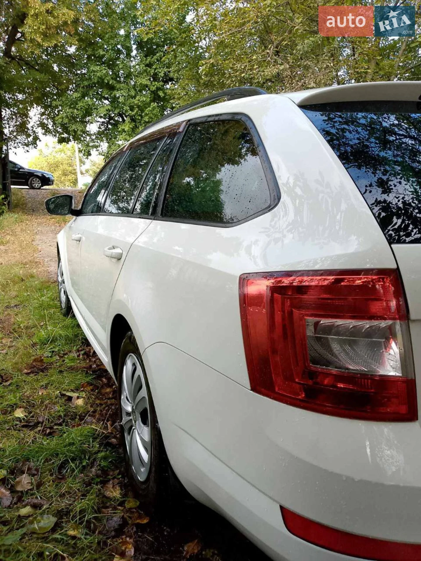 2014 Skoda Octavia - мініатюра 3
