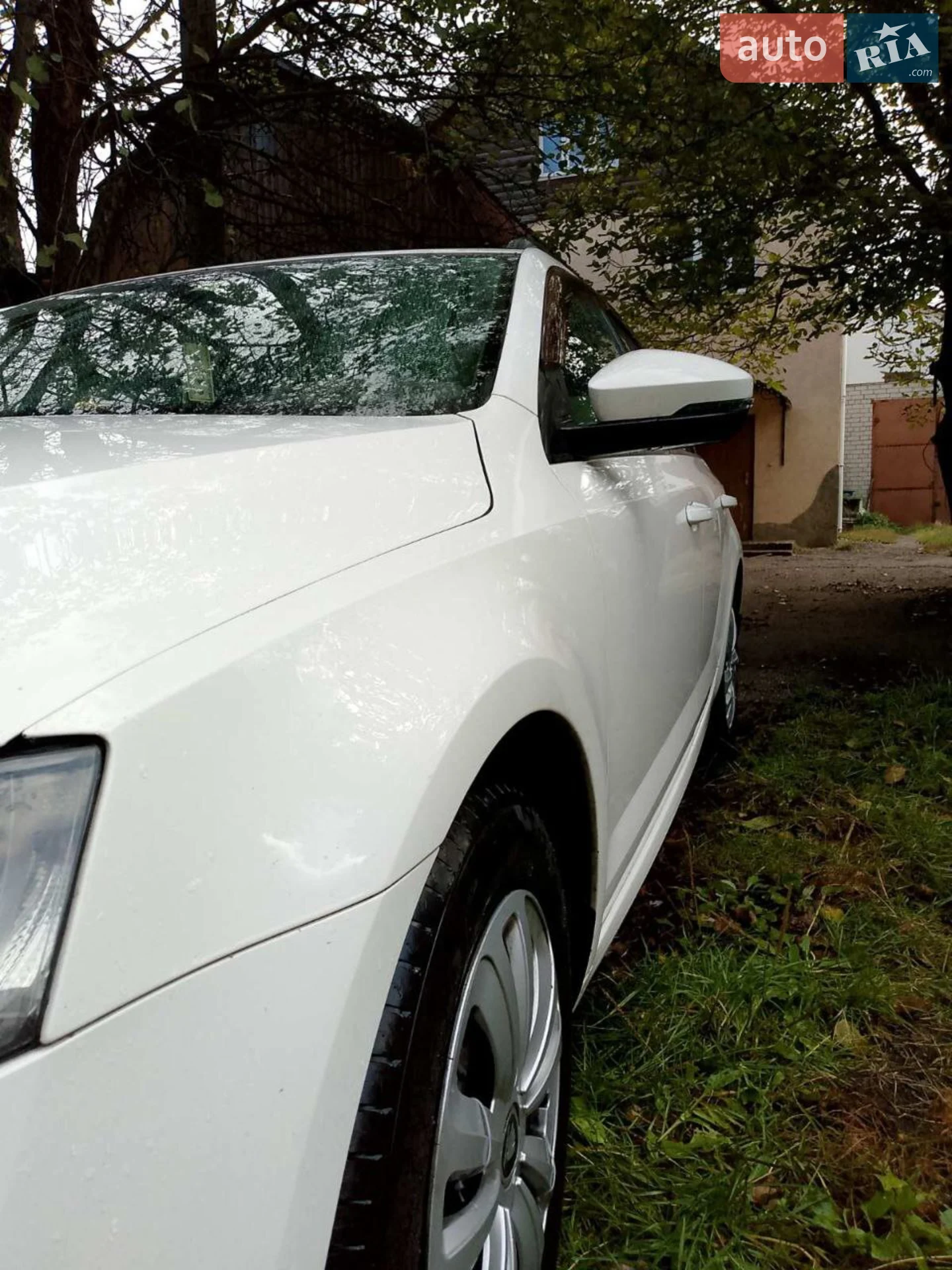 2014 Skoda Octavia - мініатюра 4