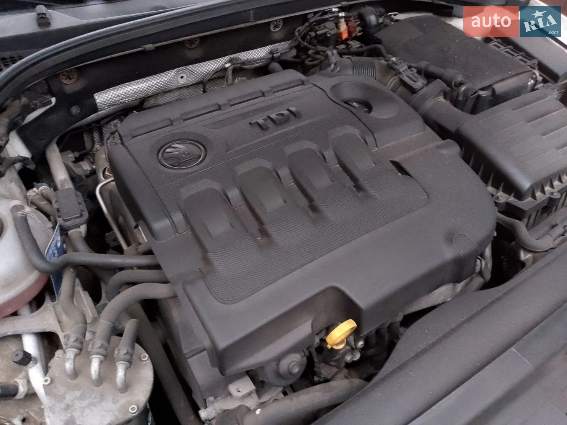 2014 Skoda Octavia - мініатюра 12