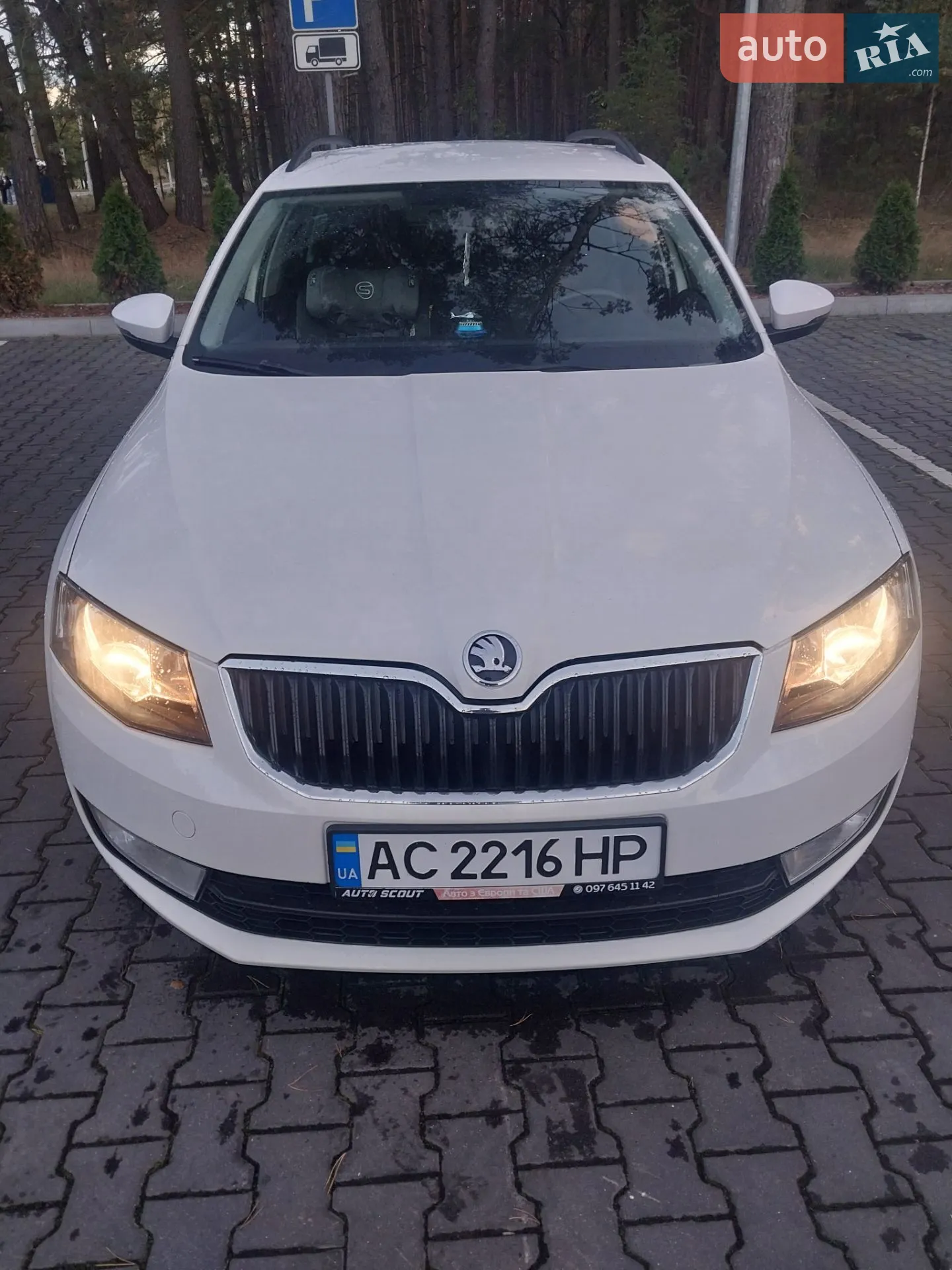 2015 Skoda Octavia - мініатюра 2
