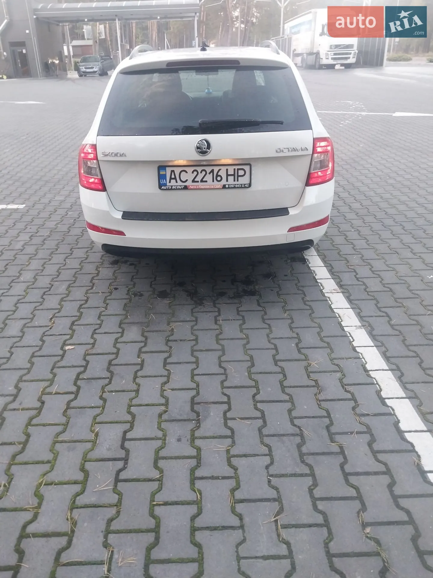 2015 Skoda Octavia - мініатюра 15