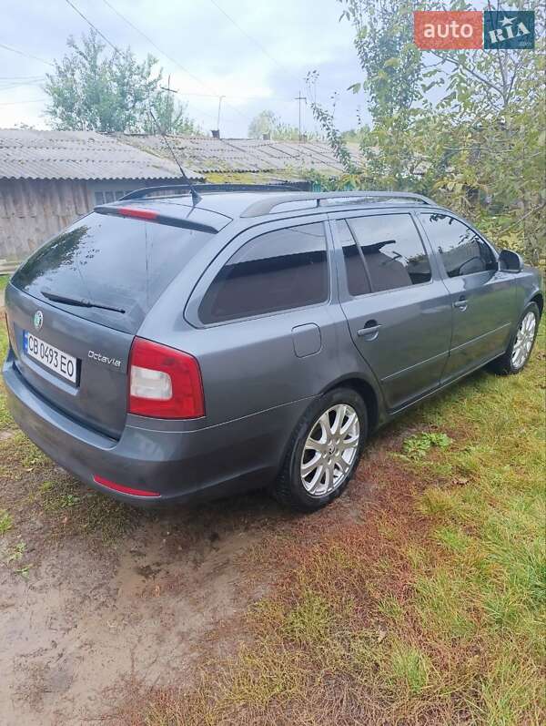 Універсал Skoda Octavia 2009 в Семенівці