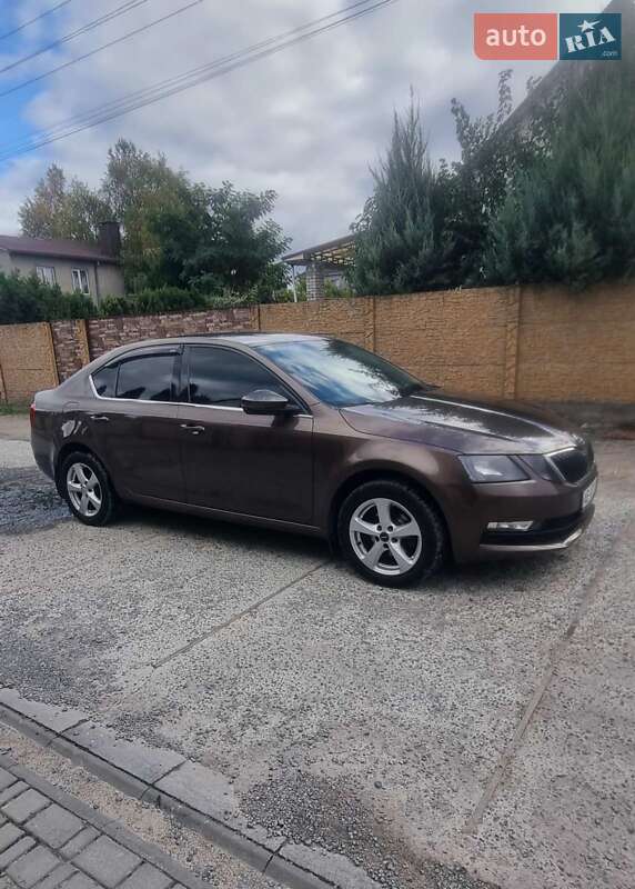 Лифтбек Skoda Octavia 2018 в Каменском фото 6 Лифтбек Skoda Octavia 2018 в Каменском