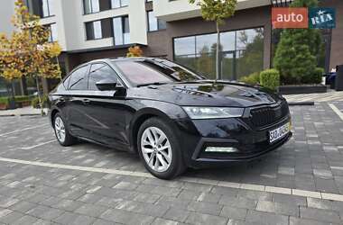 Лифтбек Skoda Octavia 2020 в 