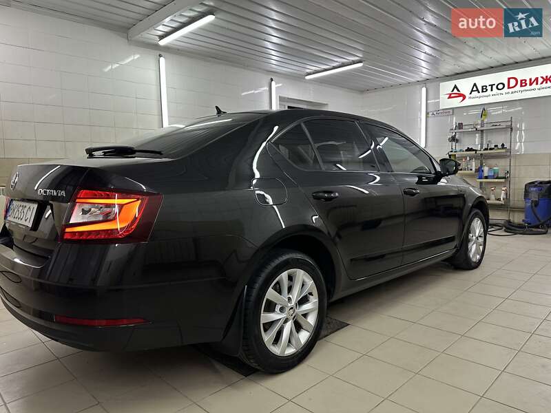 Лифтбек Skoda Octavia 2020 в Сумах фото 11 Лифтбек Skoda Octavia 2020 в Сумах