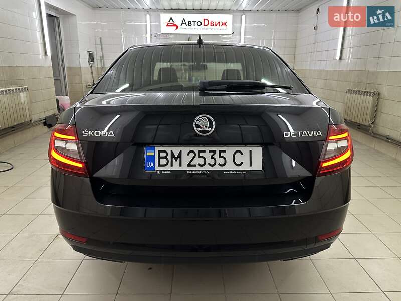 Лифтбек Skoda Octavia 2020 в Сумах фото 14 Лифтбек Skoda Octavia 2020 в Сумах