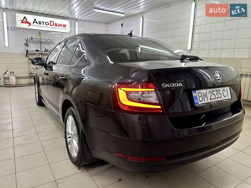 Лифтбек Skoda Octavia 2020 в Сумах фото 15 Лифтбек Skoda Octavia 2020 в Сумах