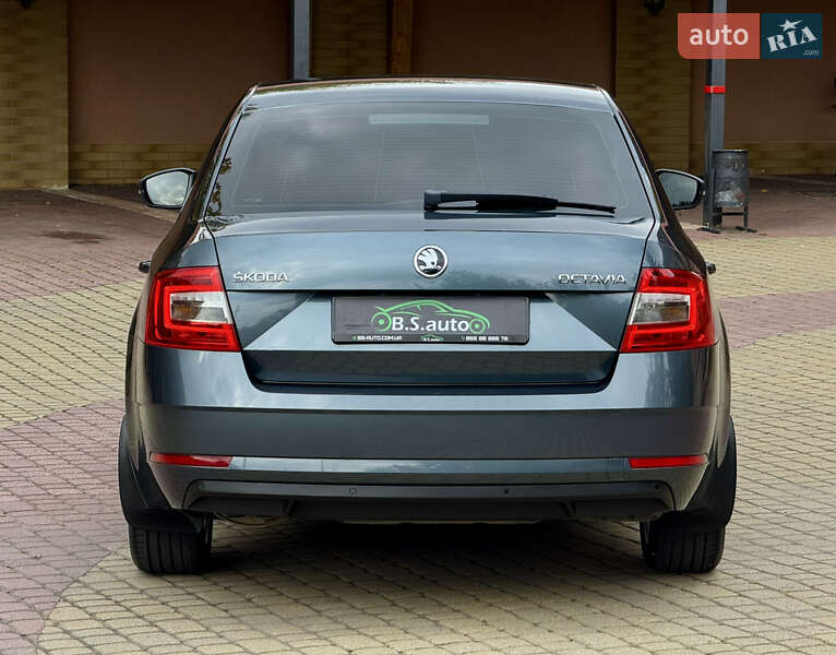 Лифтбек Skoda Octavia 2019 в Мукачево фото 18 Лифтбек Skoda Octavia 2019 в Мукачево