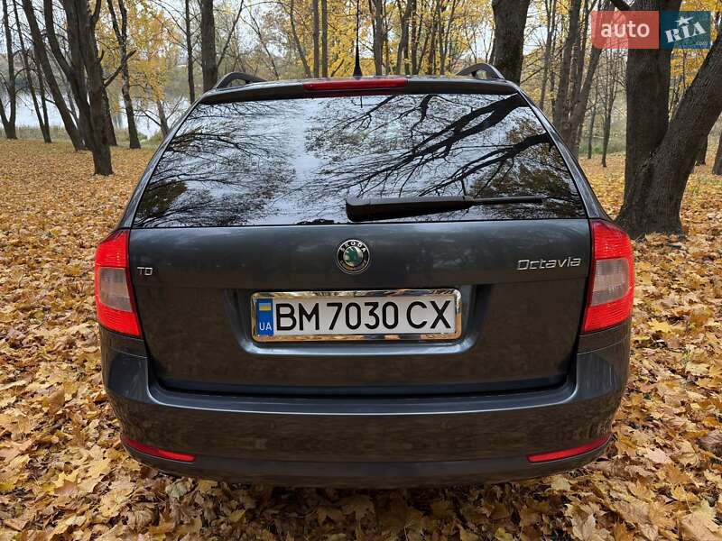 Универсал Skoda Octavia 2011 в Глухове фото 2 Универсал Skoda Octavia 2011 в Глухове