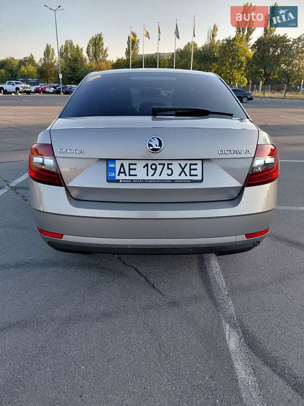 Лифтбек Skoda Octavia 2017 в Днепре фото 10 Лифтбек Skoda Octavia 2017 в Днепре