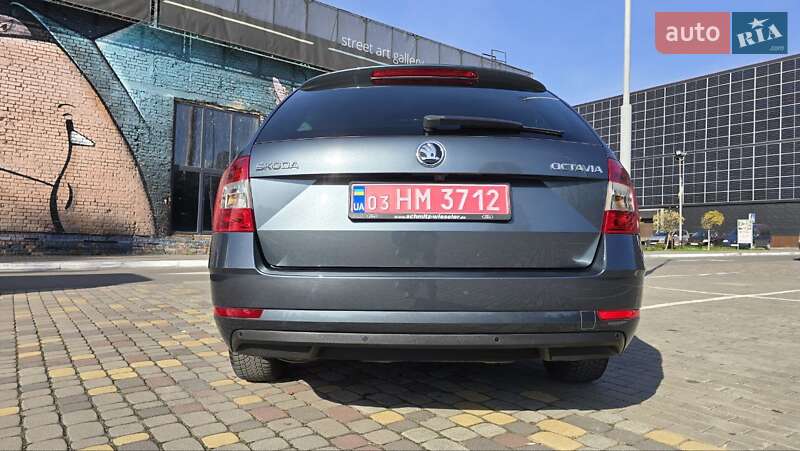 Универсал Skoda Octavia 2019 в Луцке фото 23 Универсал Skoda Octavia 2019 в Луцке