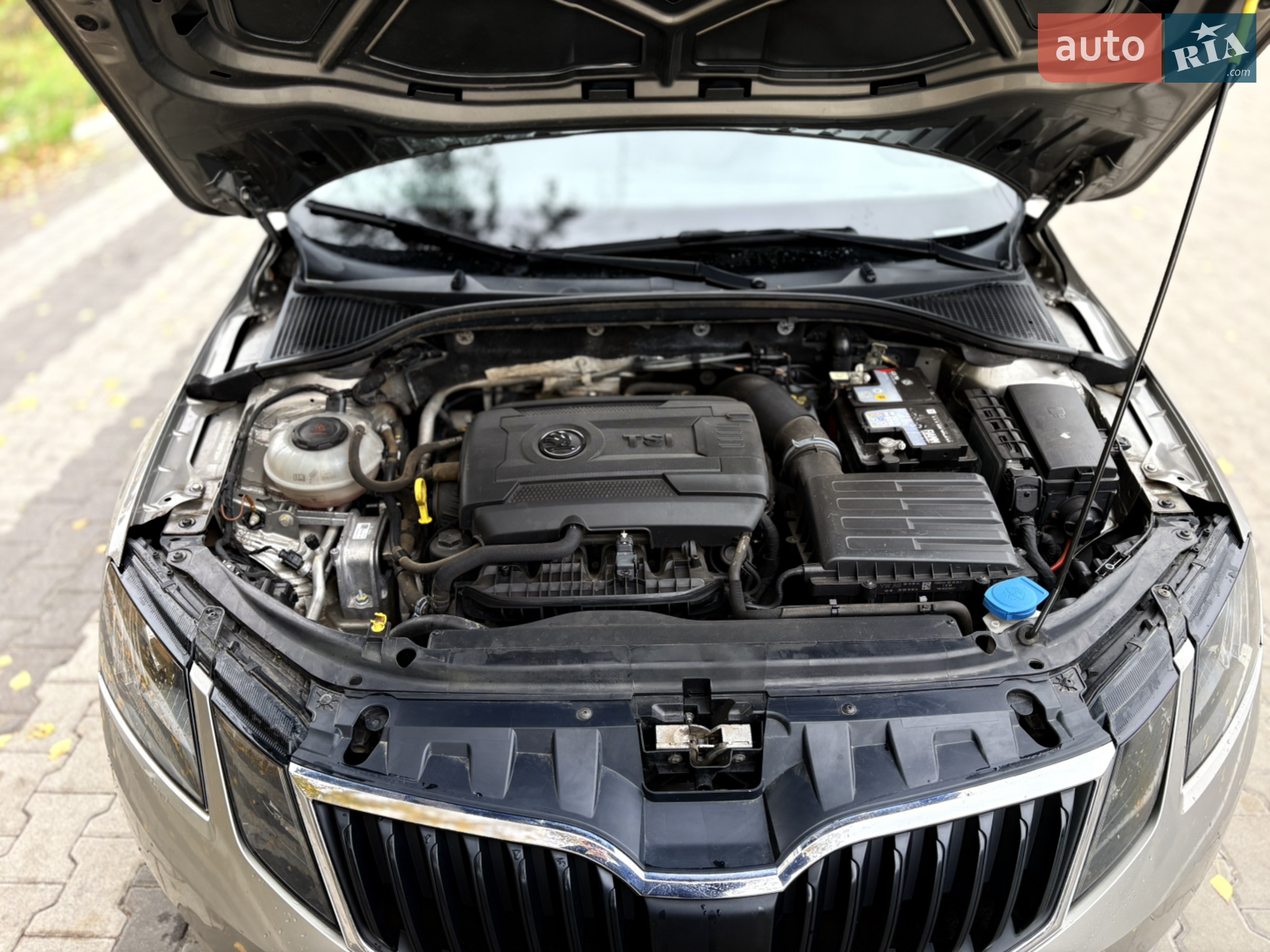 2019 Skoda Octavia - мініатюра 13