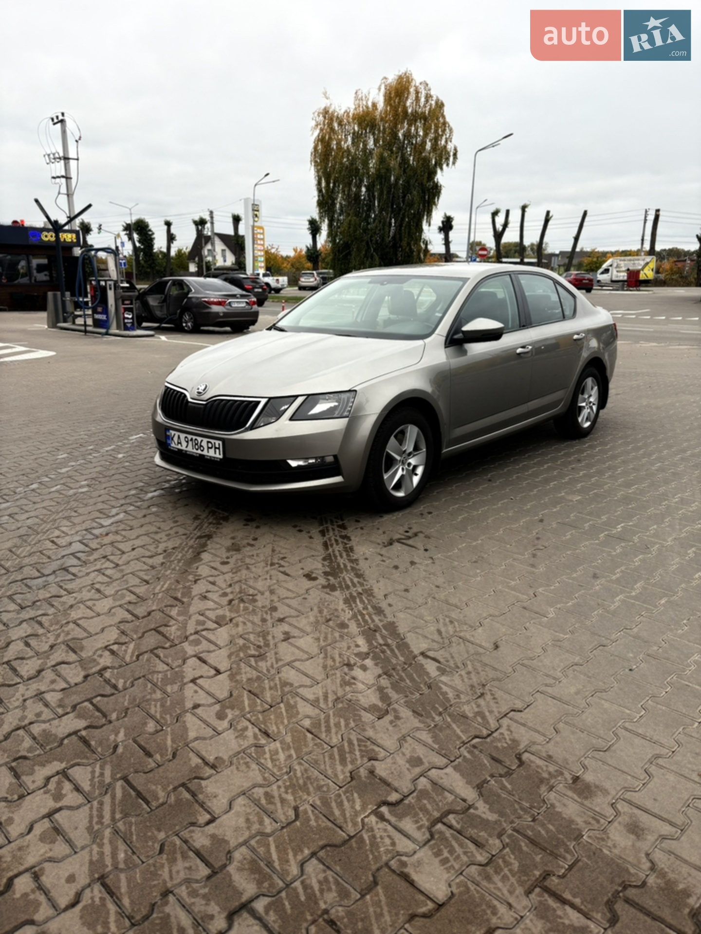 2019 Skoda Octavia - мініатюра 31