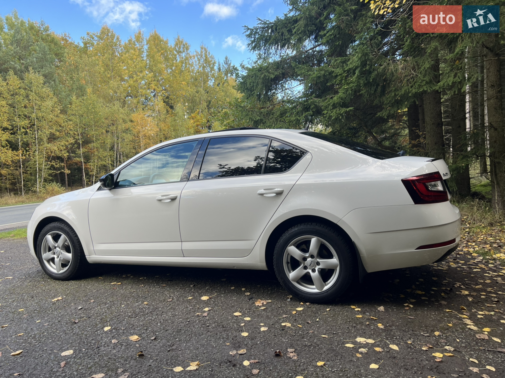 2019 Skoda Octavia - мініатюра 19
