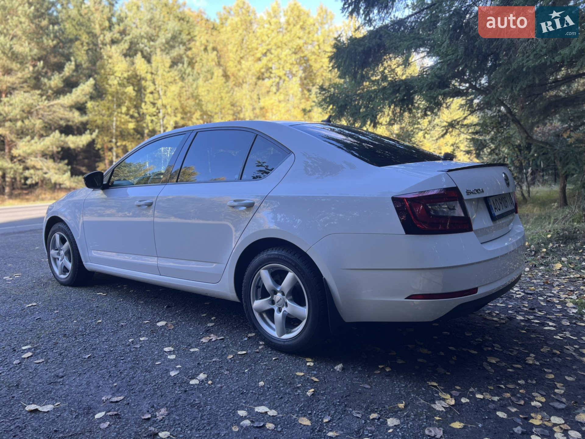 2019 Skoda Octavia - мініатюра 22