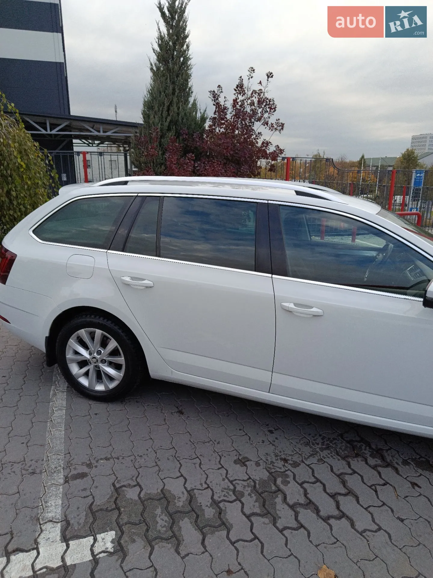 2017 Skoda Octavia - мініатюра 11