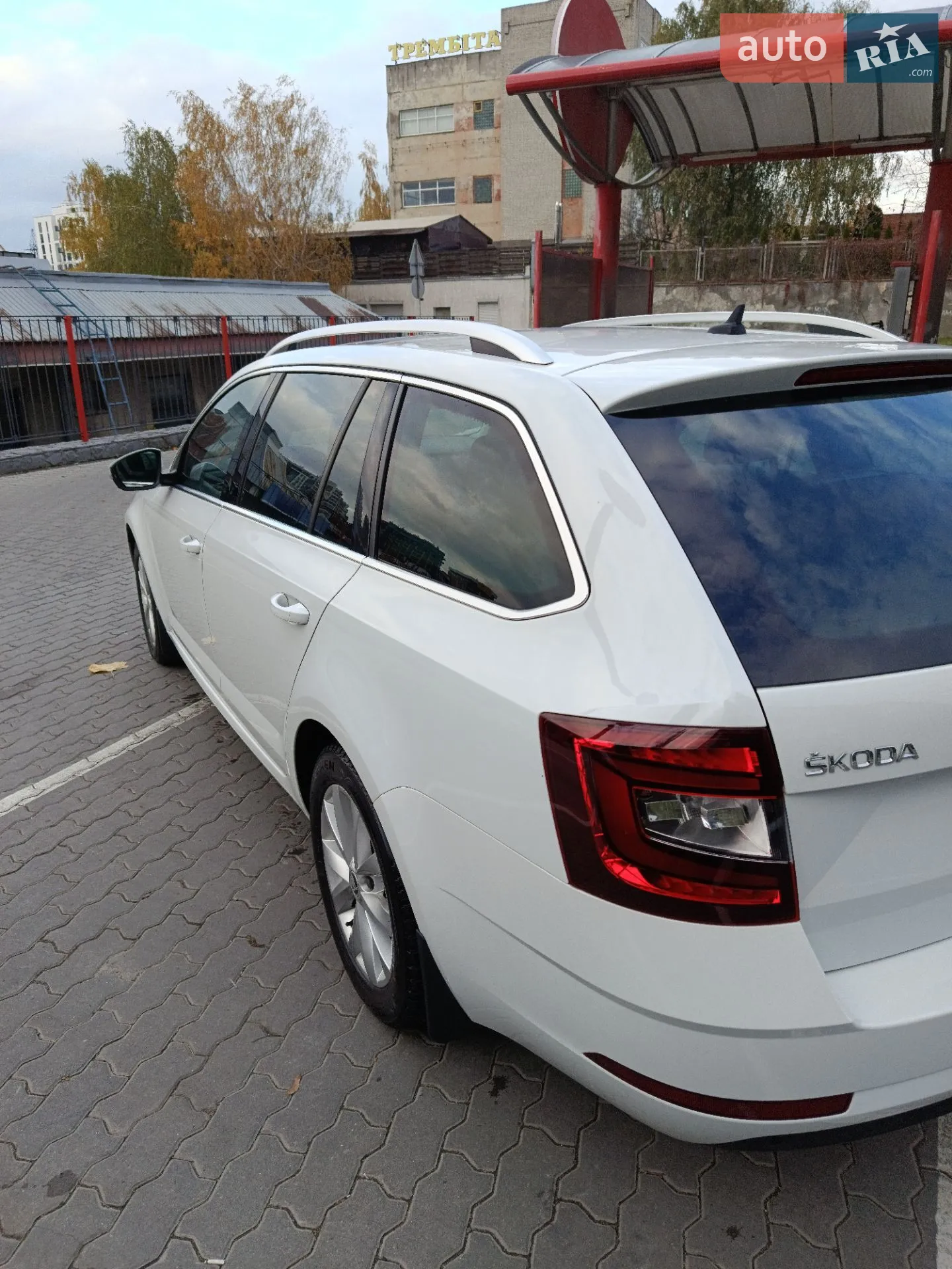 2017 Skoda Octavia - мініатюра 14