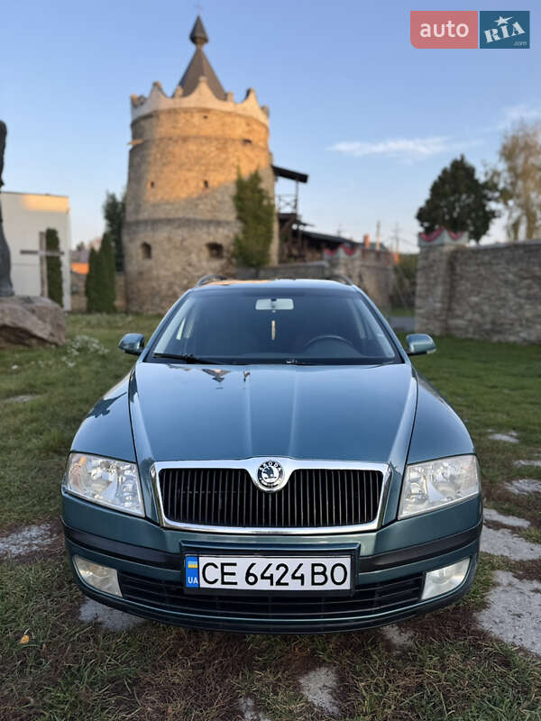 Універсал Skoda Octavia 2007 в Летичіві