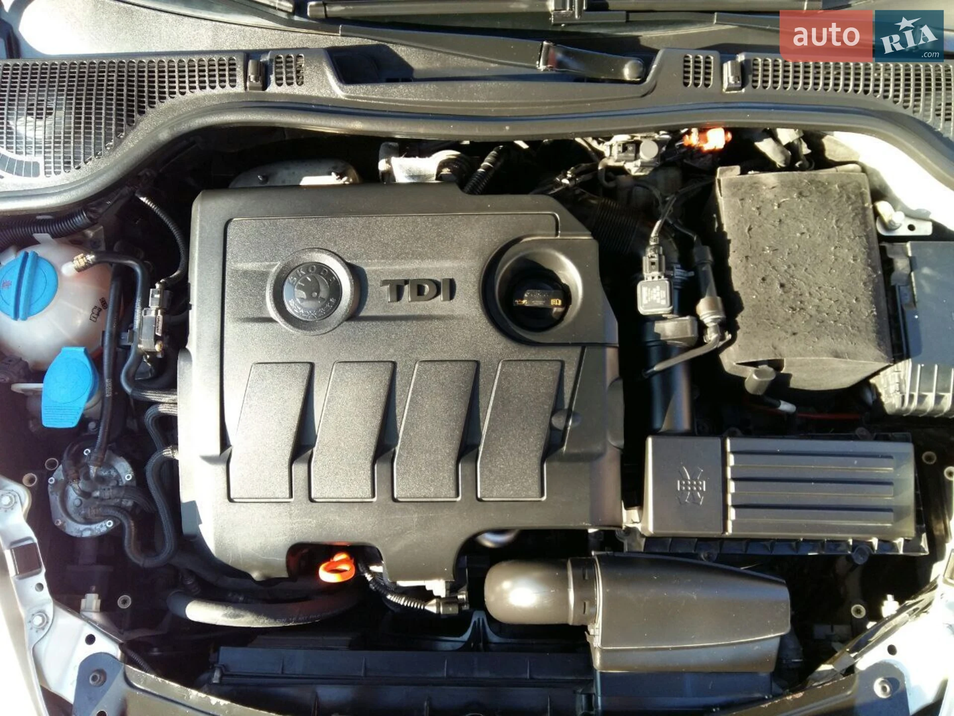 2015 Skoda Octavia - мініатюра 12