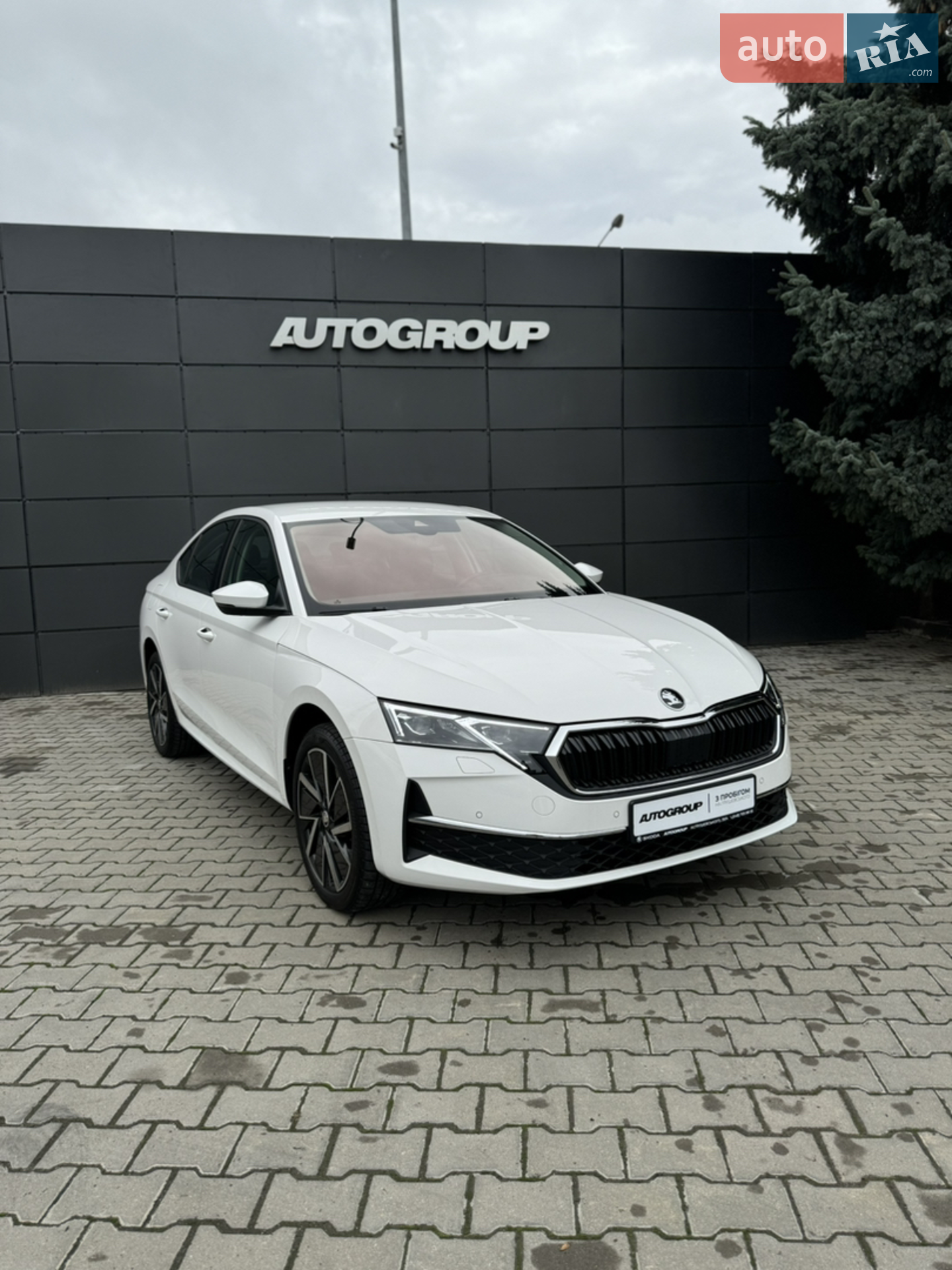 2024 Skoda Octavia - мініатюра 3