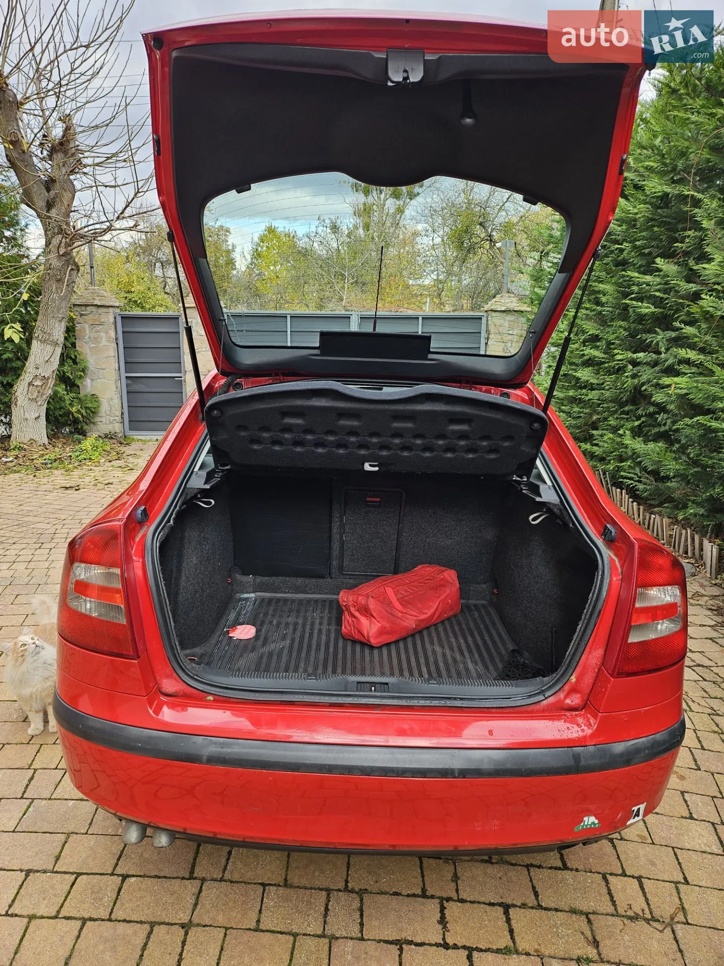 Skoda Octavia 2008 VIN TMBBD41Z58B158092 фото оголошення 3 з 16
