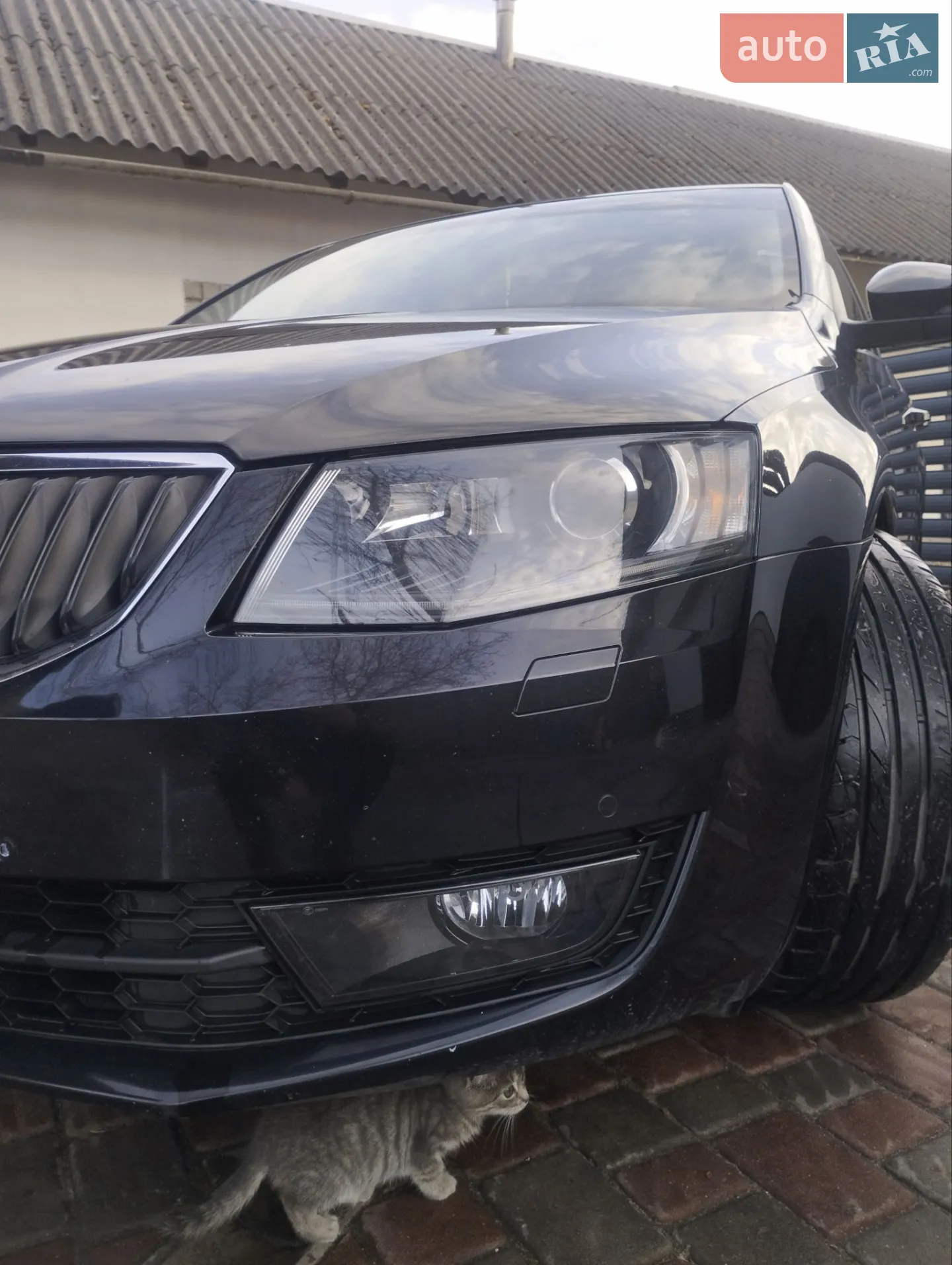 2016 Skoda Octavia - мініатюра 58