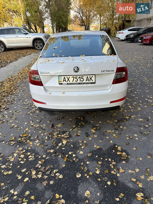 Лифтбек Skoda Octavia 2013 в Харькове фото 22 Лифтбек Skoda Octavia 2013 в Харькове