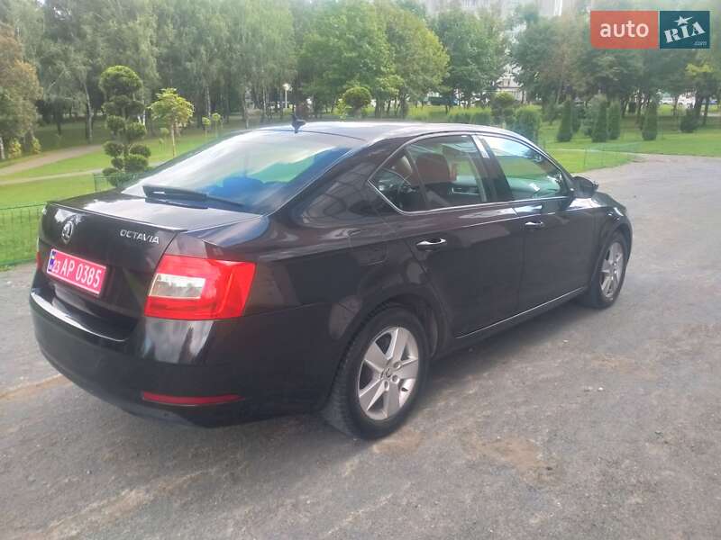 Лифтбек Skoda Octavia 2018 в Хмельницком фото 20 Лифтбек Skoda Octavia 2018 в Хмельницком