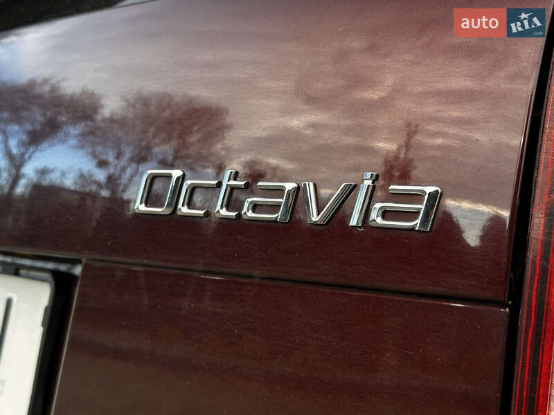 Универсал Skoda Octavia 2009 в Луцке фото 13 Универсал Skoda Octavia 2009 в Луцке