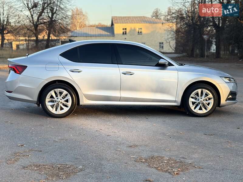 Лифтбек Skoda Octavia 2022 в Шостке фото 6 Лифтбек Skoda Octavia 2022 в Шостке