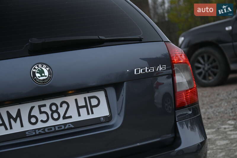Универсал Skoda Octavia 2009 в Бердичеве