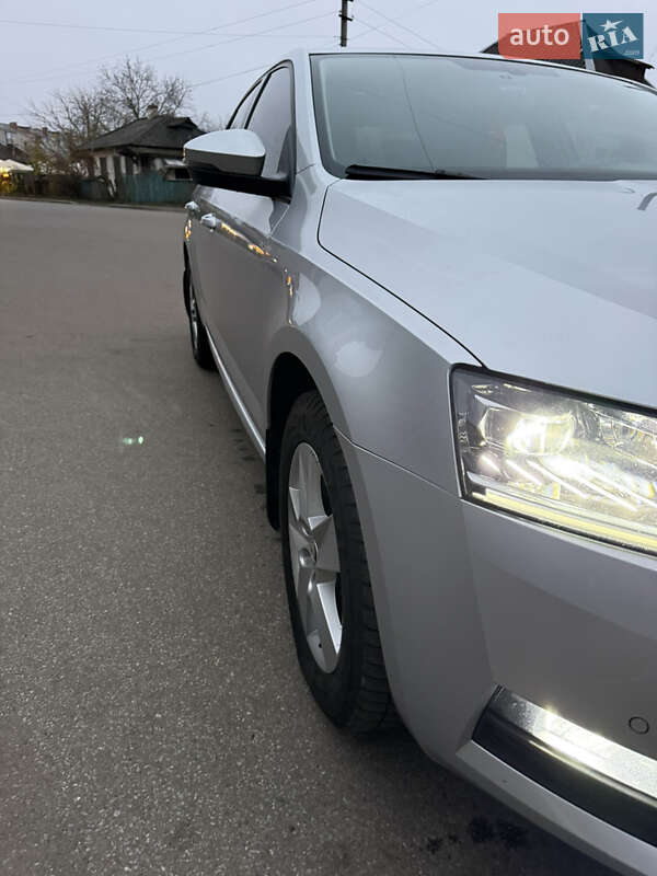 Лифтбек Skoda Octavia 2017 в Бахмаче фото 10 Лифтбек Skoda Octavia 2017 в Бахмаче