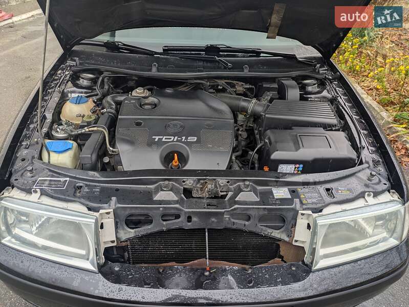 Ліфтбек Skoda Octavia 2007 в Здолбуніві фото 12 Ліфтбек Skoda Octavia 2007 в Здолбуніві