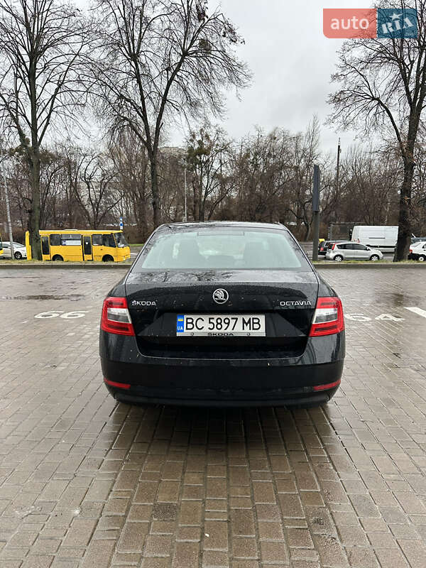 Лифтбек Skoda Octavia 2018 в Львове фото 8 Лифтбек Skoda Octavia 2018 в Львове