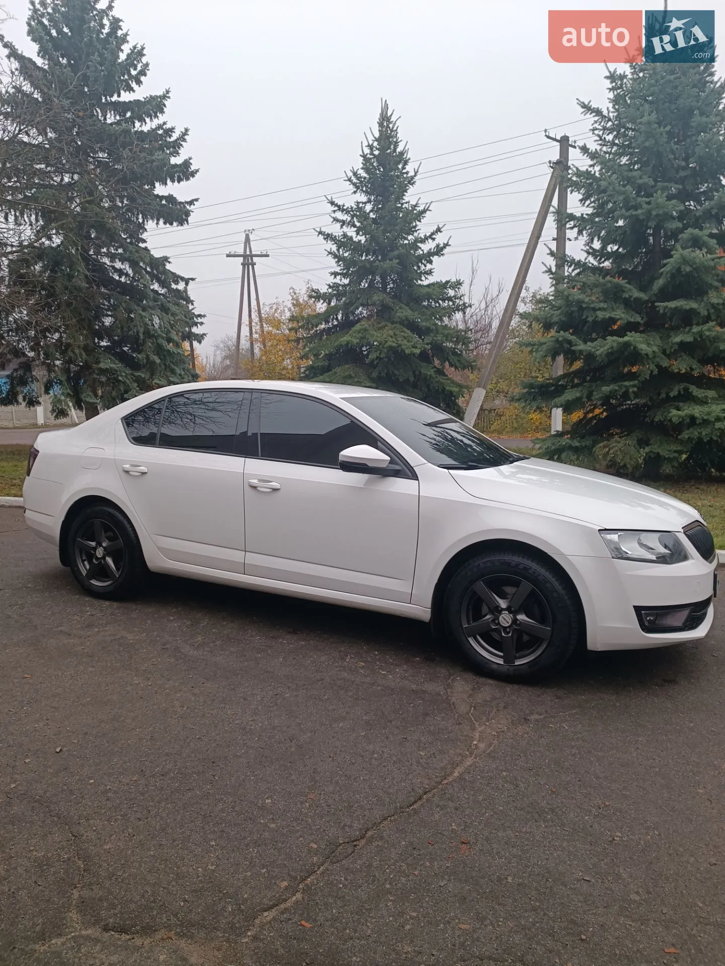 2013 Skoda Octavia - мініатюра 4