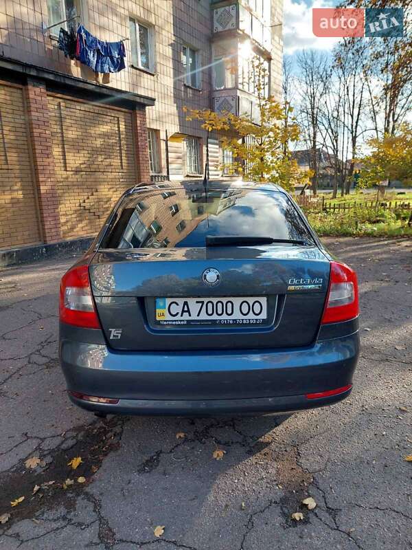 Лифтбек Skoda Octavia 2010 в Черкассах фото 9 Лифтбек Skoda Octavia 2010 в Черкассах