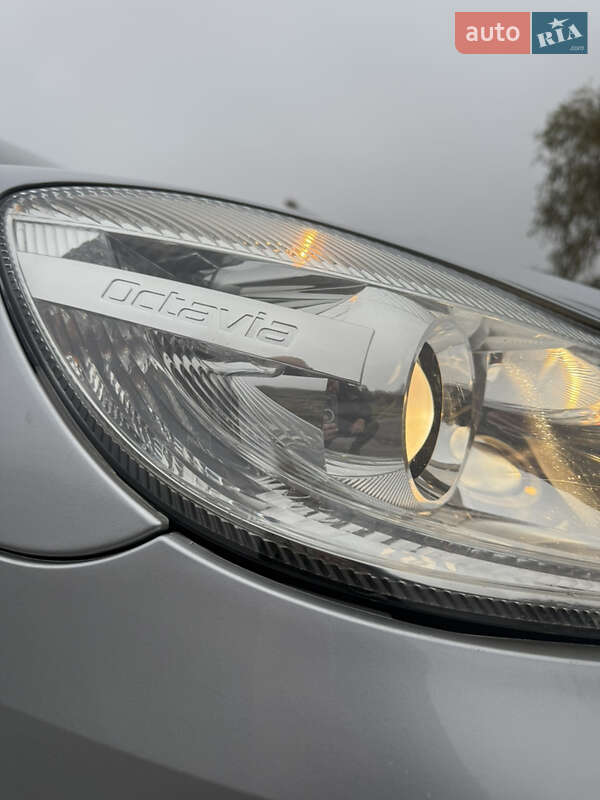 Универсал Skoda Octavia 2010 в Днепре фото 41 Универсал Skoda Octavia 2010 в Днепре