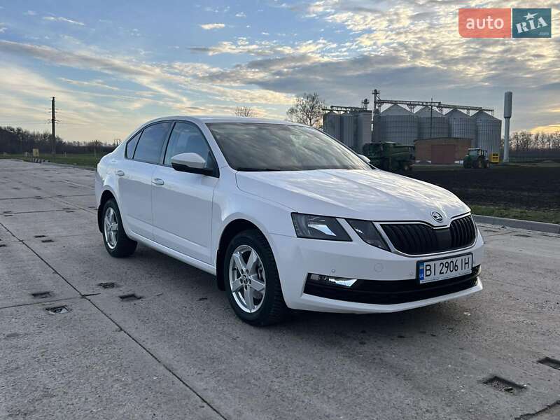 Ліфтбек Skoda Octavia 2019 в Полтаві фото 5 Ліфтбек Skoda Octavia 2019 в Полтаві